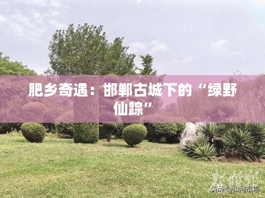 肥乡奇遇:邯郸古城下的“绿野仙踪”