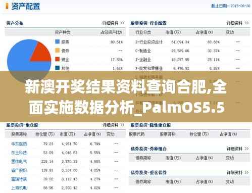 新澳开奖结果资料查询合肥,全面实施数据分析_PalmOS5.513