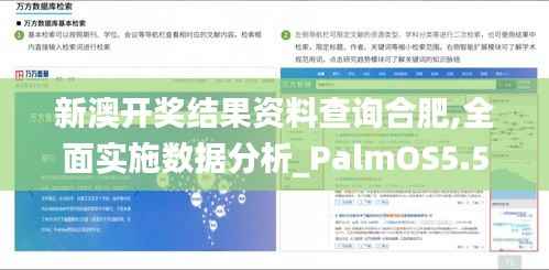 新澳开奖结果资料查询合肥,全面实施数据分析_PalmOS5.513