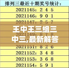 王中王三组三中三,最新解答解释定义_Z4.136