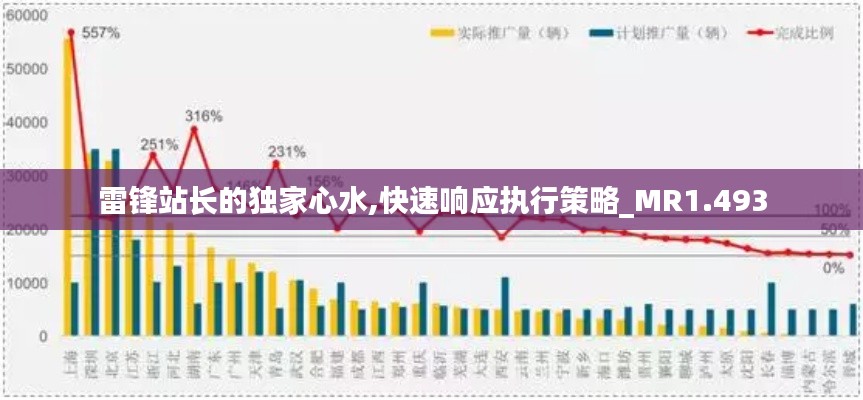 雷锋站长的独家心水,快速响应执行策略_MR1.493