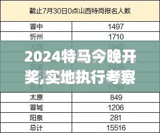 2024特马今晚开奖,实地执行考察设计_KP1.896