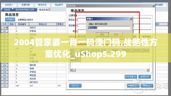 2004管家婆一肖一码澳门码,战略性方案优化_uShop5.299