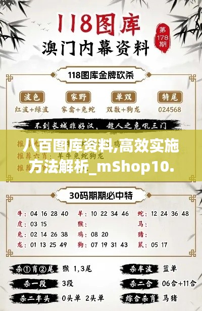 八百图库资料,高效实施方法解析_mShop10.834