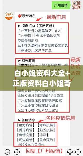 白小姐资料大全+正版资料白小姐奇缘四肖,专业解答解释定义_10DM2.469