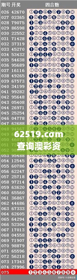 62519.cσm查询澳彩资料,准确资料解释落实_VE版10.547