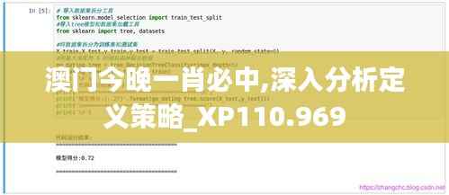 澳门今晚一肖必中,深入分析定义策略_XP110.969