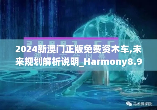 2024新澳门正版免费资木车,未来规划解析说明_Harmony8.970