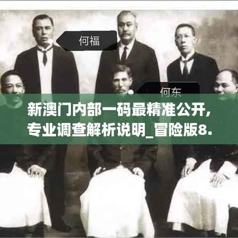 新澳门内部一码最精准公开,专业调查解析说明_冒险版8.502