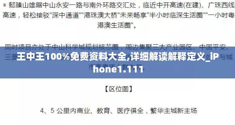 王中王100%免费资料大全,详细解读解释定义_iPhone1.111