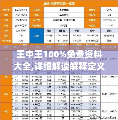 王中王100%免费资料大全,详细解读解释定义_iPhone1.111