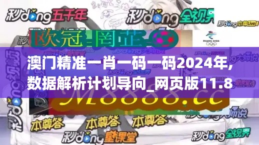 澳门精准一肖一码一码2024年,数据解析计划导向_网页版11.809