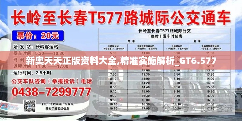 新奥天天正版资料大全,精准实施解析_GT6.577