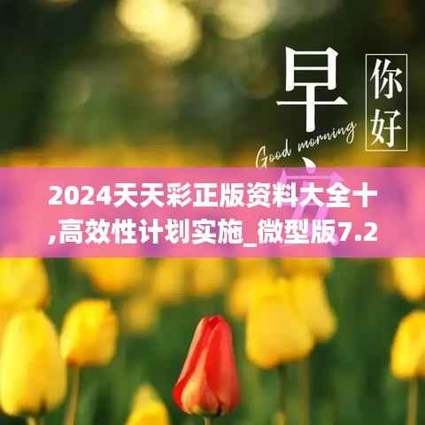 2024天天彩正版资料大全十,高效性计划实施_微型版7.247