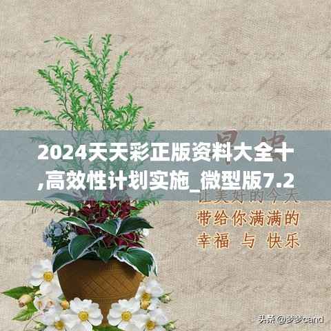 2024天天彩正版资料大全十,高效性计划实施_微型版7.247