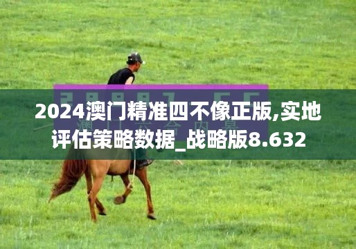 2024澳门精准四不像正版,实地评估策略数据_战略版8.632