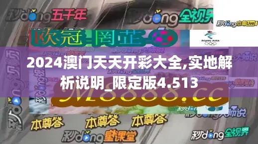 2024澳门天天开彩大全,实地解析说明_限定版4.513