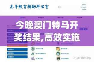 今晚澳门特马开奖结果,高效实施设计策略_3DM10.741