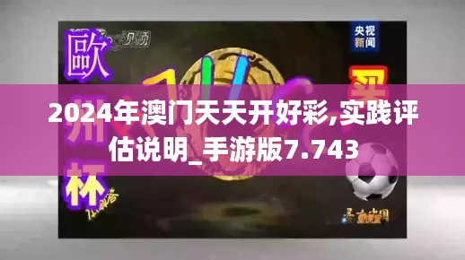 2024年澳门天天开好彩,实践评估说明_手游版7.743
