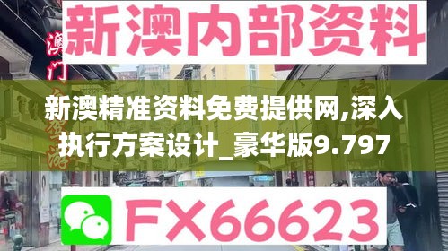 新澳精准资料免费提供网,深入执行方案设计_豪华版9.797