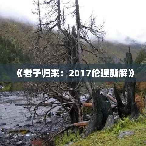《老子归来:2017伦理新解》