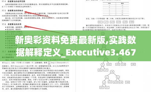 新奥彩资料免费最新版,实践数据解释定义_Executive3.467