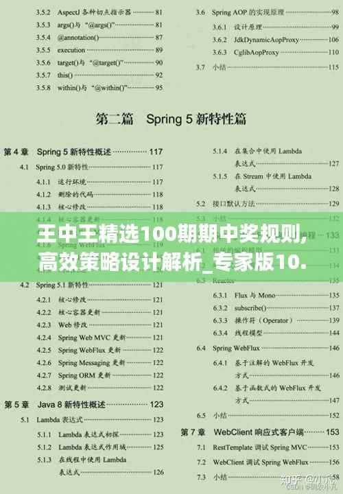 王中王精选100期期中奖规则,高效策略设计解析_专家版10.610
