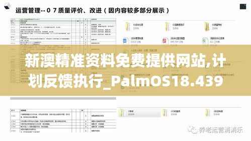 新澳精准资料免费提供网站,计划反馈执行_PalmOS18.439