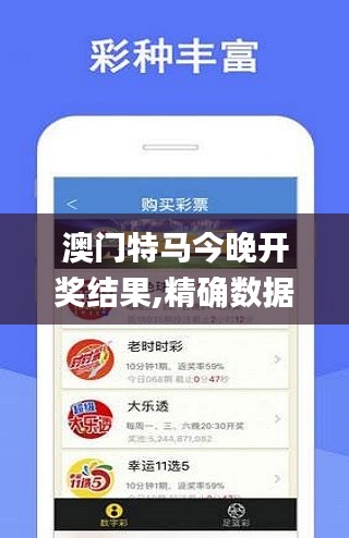 澳门特马今晚开奖结果,精确数据解析说明_标准版10.333