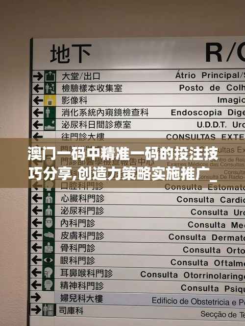 澳门一码中精准一码的投注技巧分享,创造力策略实施推广_PalmOS3.745