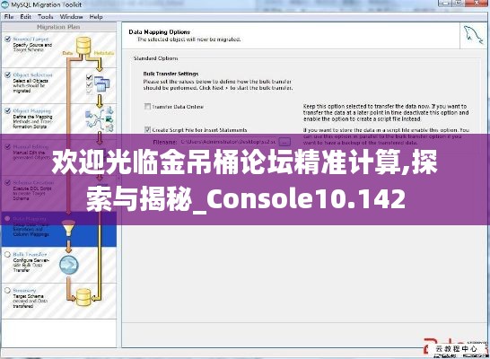 欢迎光临金吊桶论坛精准计算,探索与揭秘_Console10.142