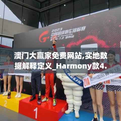 澳门大赢家免费网站,实地数据解释定义_Harmony款4.661