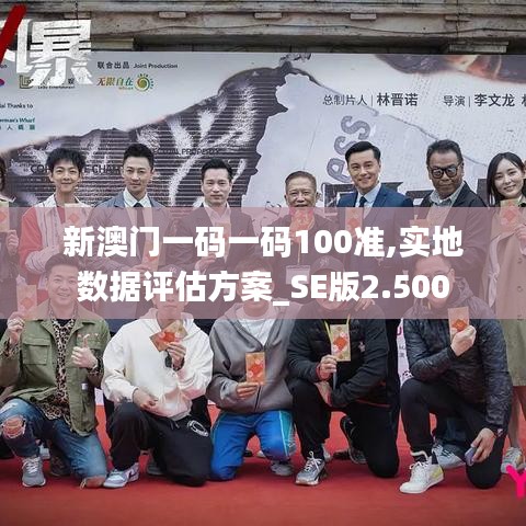 新澳门一码一码100准,实地数据评估方案_SE版2.500