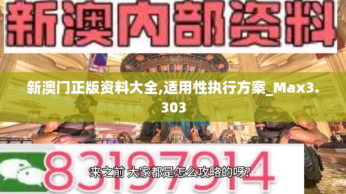 新澳门正版资料大全,适用性执行方案_Max3.303