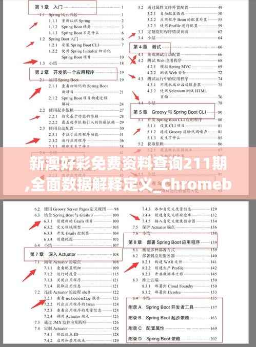 新澳好彩免费资料查询211期,全面数据解释定义_Chromebook5.766