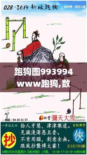 跑狗图993994www跑狗,数据说明解析_Z10.387