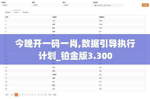 今晚开一码一肖,数据引导执行计划_铂金版3.300