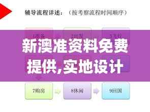 新澳准资料免费提供,实地设计评估解析_精英版1.666