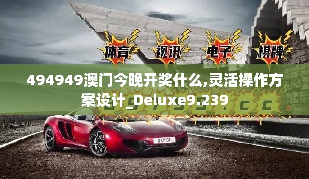 494949澳门今晚开奖什么,灵活操作方案设计_Deluxe9.239