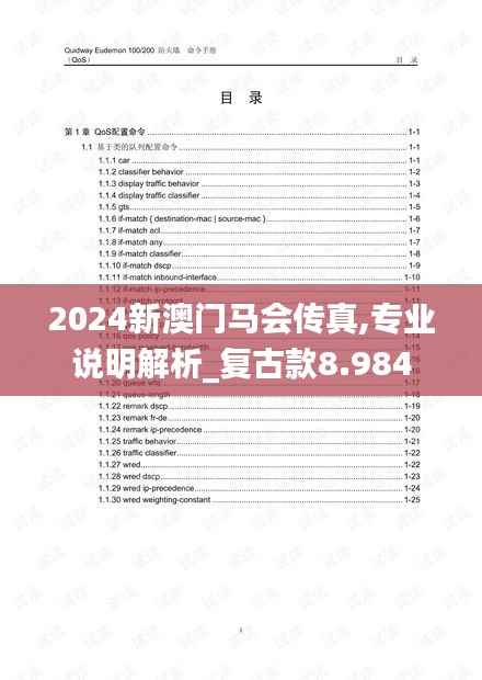 2024新澳门马会传真,专业说明解析_复古款8.984