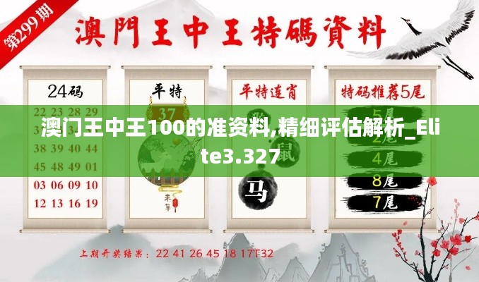 澳门王中王100的准资料,精细评估解析_Elite3.327