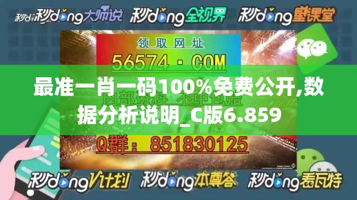 最准一肖一码100%免费公开,数据分析说明_C版6.859