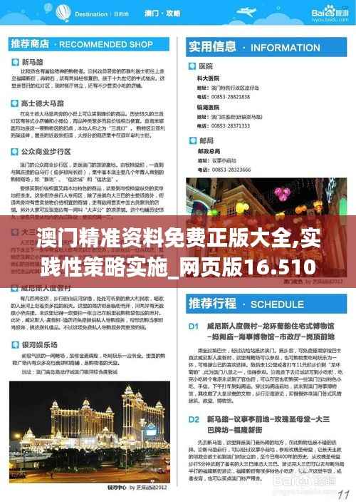 澳门精准资料免费正版大全,实践性策略实施_网页版16.510