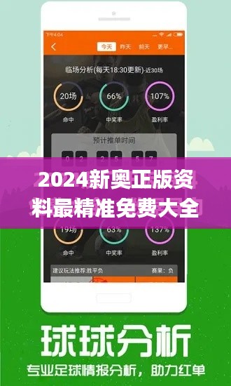 2024新奥正版资料最精准免费大全,深入执行计划数据_bundle9.361