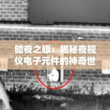 暗夜之眼：揭秘夜视仪电子元件的神奇世界