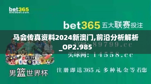 马会传真资料2024新澳门,前沿分析解析_OP2.985