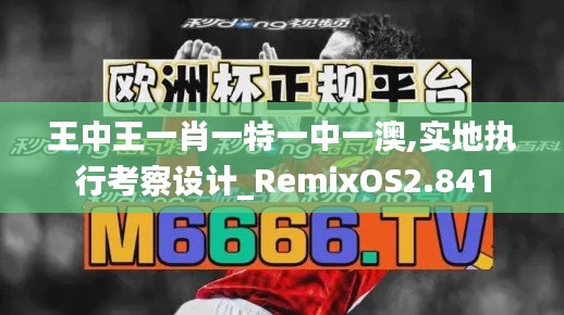 王中王一肖一特一中一澳,实地执行考察设计_RemixOS2.841