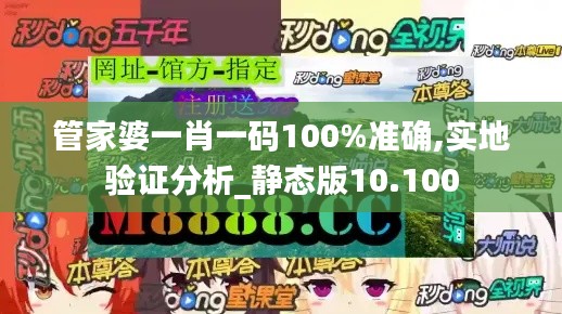 管家婆一肖一码100%准确,实地验证分析_静态版10.100