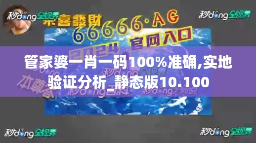 管家婆一肖一码100%准确,实地验证分析_静态版10.100