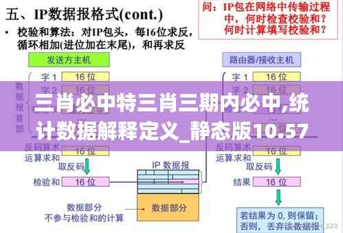 三肖必中特三肖三期内必中,统计数据解释定义_静态版10.578